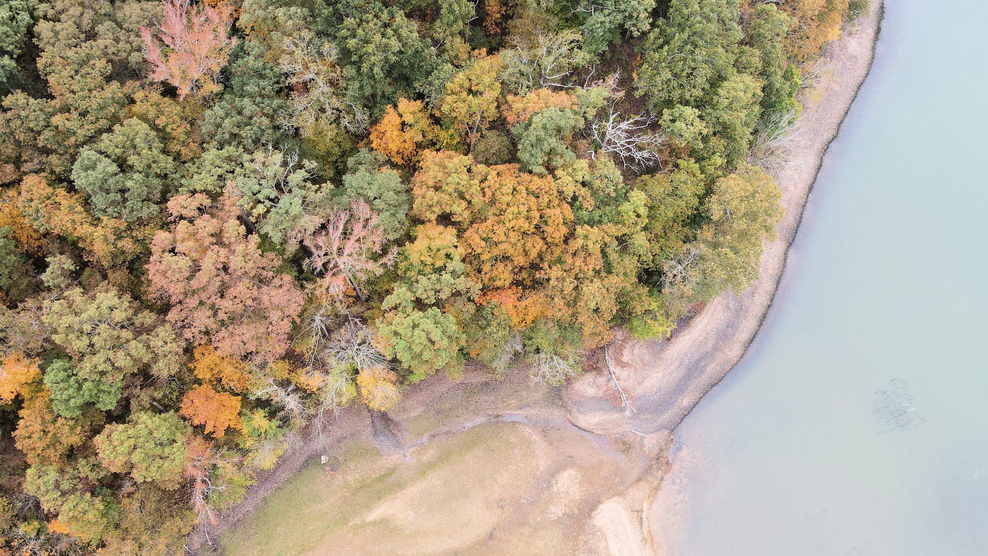 Kentucky Lake Drone Photos